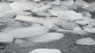 Hromadiaci sa ľad v riekach môže spôsobiť povodne