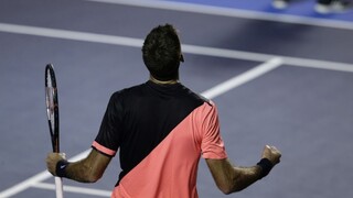 Do semifinále ATP postupuje del Potro, nastúpi proti Zverevovi