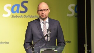 SaS chce predčasné voľby, kabinet má dovládnuť bez Fica a Kaliňáka