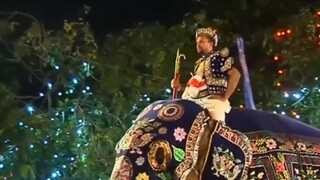 Výstava o živote Napoleona / Oblohu zaplavili tisíce lampiónov / Sloní festival na Srí Lanke