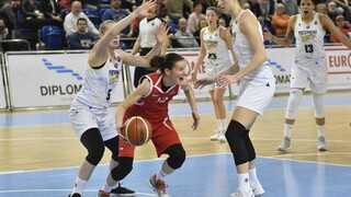 Čajky nezačali zápas najlepšie, nečakane sa im podarilo otočiť