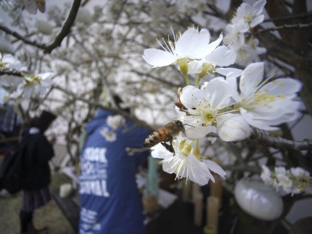 Japonsko si pripomína ďalšie výročie nešťastia vo Fukušime