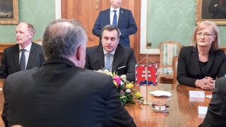 SNS rokovala s prezidentom, informovala ho o svojom postoji