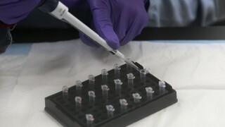 Zistí sa vinník? Putin je rozhodnutý kauzu Skripaľ uzavrieť