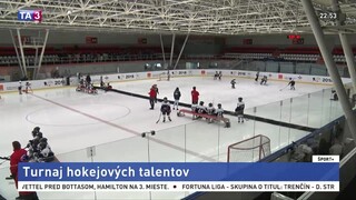 V minihokejovom finále sa stretli najlepší slovenskí detskí hráči
