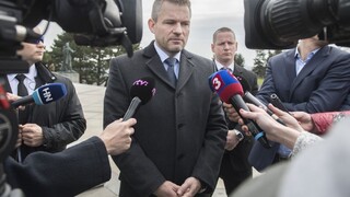 Slovensko je štandardným demokratickým štátom, tvrdí Pellegrini