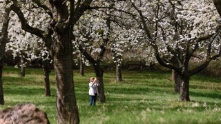 V noci padali rekordy, ráno bolo teplé ako v strede júla