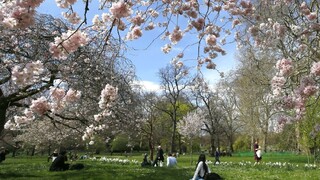 Máme nezvyčajný apríl. Podľa meteorológov môže byť aj rekordný