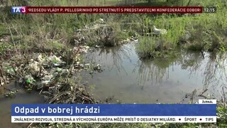 Bobry doplácajú na nedbanlivcov, v hrádzi sa im zachytáva odpad