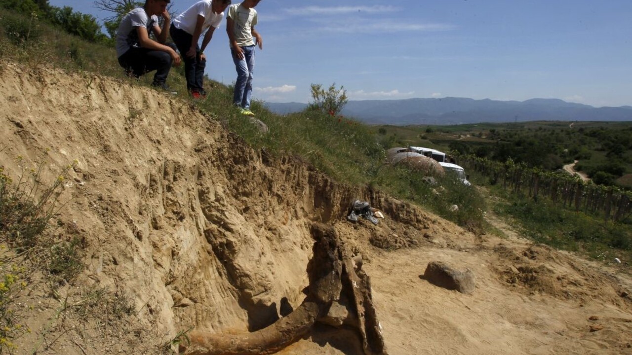 Na Balkáne objavili pozostatky predchodcu mamuta, vážil 10 ton