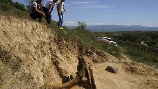 Na Balkáne objavili pozostatky predchodcu mamuta, vážil 10 ton