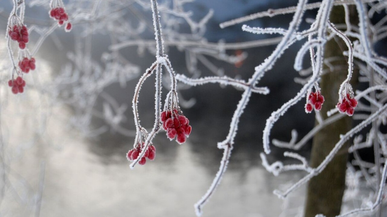 Po letných teplotách prichádzajú prízemné mrazy, varujú meteorológovia