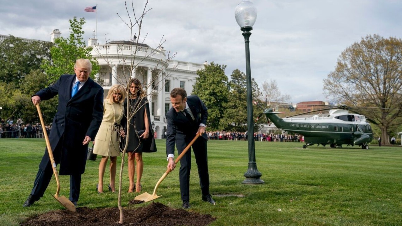 Strom, ktorý Macron a Trump zasadili pri Bielom dome, niekam zmizol