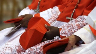 Kardinál pôjde pred súd, mal zneužívať mladých chlapcov