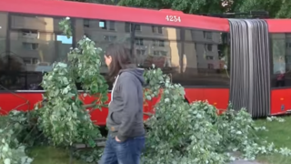 Autobus MHD sa sám rozbehol, narazil do áut, stromov i lavičiek