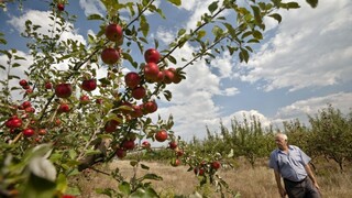 Slovenské regióny dostanú menej, zmeny sa dotknú aj farmárov