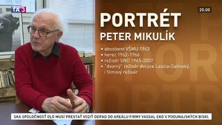 Portrét Petra Mikulíka
