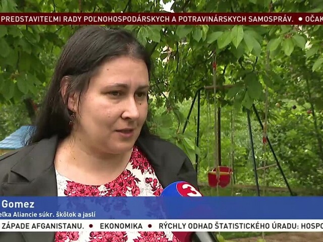 Zakladateľka Aliancie súkr. škôlok a jaslí L. Gomez o problémovom zákone