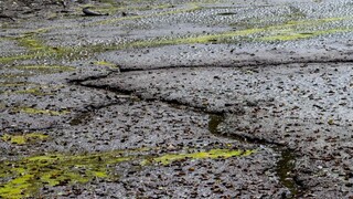 Prezradili, čo čaká Slovensko po hrozivých zmenách klímy