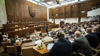Parlament nerozhodol o platoch ústavných činiteľov, vláda stiahla návrh
