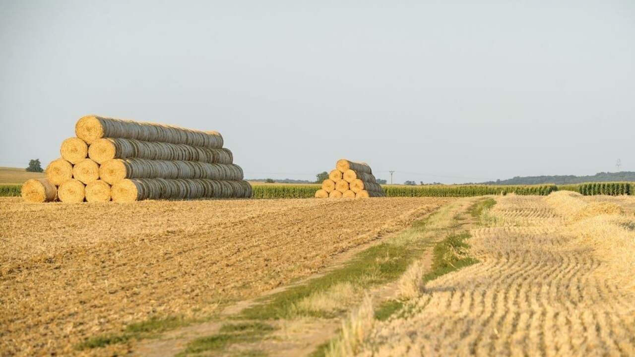 Základy zneužívania agrodotácií mali podľa SaS položiť pred 10 rokmi