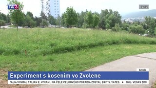 Vo Zvolene skúšajú experiment s kosením, miestni sa obávajú kliešťov
