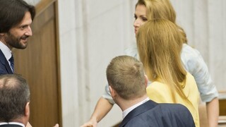 Hrozili, ale nekonali. Danko považuje konanie opozície za komické