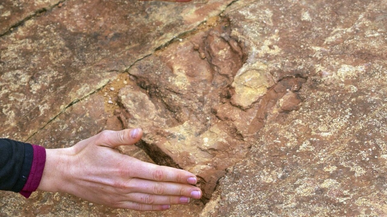 V Tatrách objavili pamiatky po dinosauroch. Ako sa dostali k nám?