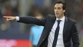 Wenger už má náhradníka, ohlásili nového trénera Arsenalu