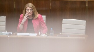 Matečná čelila poslancom: Doteraz ste sa o agrosektor nezaujímali