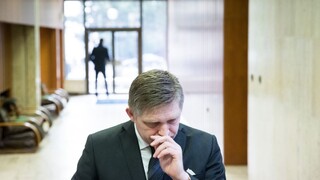 Interrupčný návrh zákona Fico nepodporí, považuje ho za protiústavný