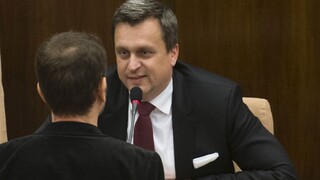 Danko obhajoval zákon o stranách, podľa SaS sa zbaví konkurencie