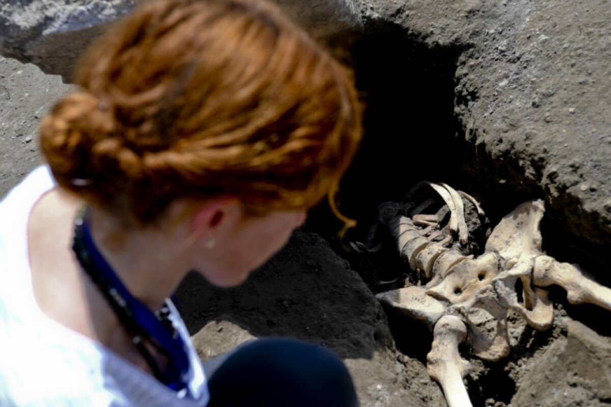 italy-pompeii-skeleton-32368-9162ed70ce6d498aa2dbedc6efcbf79c_f2b8061b.jpg