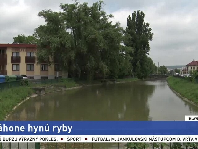 V košickom náhone klesá hladina vody, hynú tam desiatky rýb