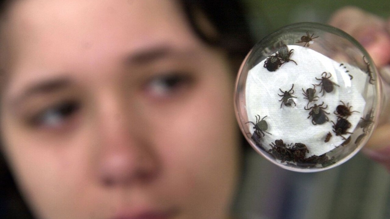 Na Slovensku je množstvo druhov kliešťov. Ktorý je najhorší?