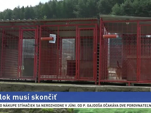 Útulok Štastný psík končí, dôvodom sú nespokojní susedia