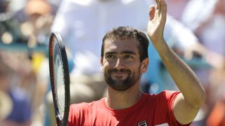 Čilič opäť zdolal Querreyho, vo finále vyzve Kiriosa