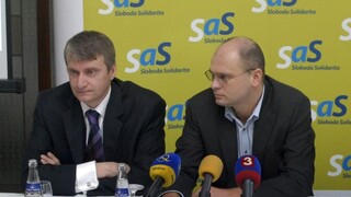 SaS si vybrala prezidentského kandidáta. Podporí ho aj finančne
