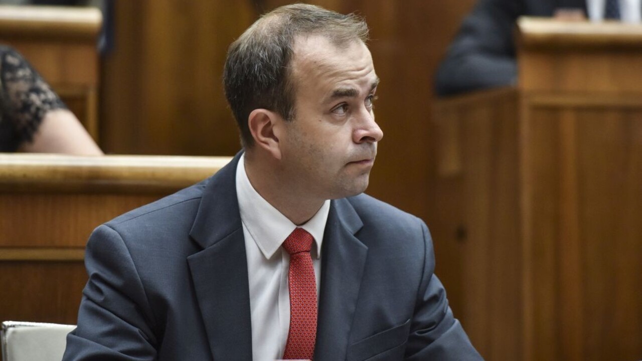 Politici už rokujú o interrupciách, Podmanický sľubuje kvalitný zákon