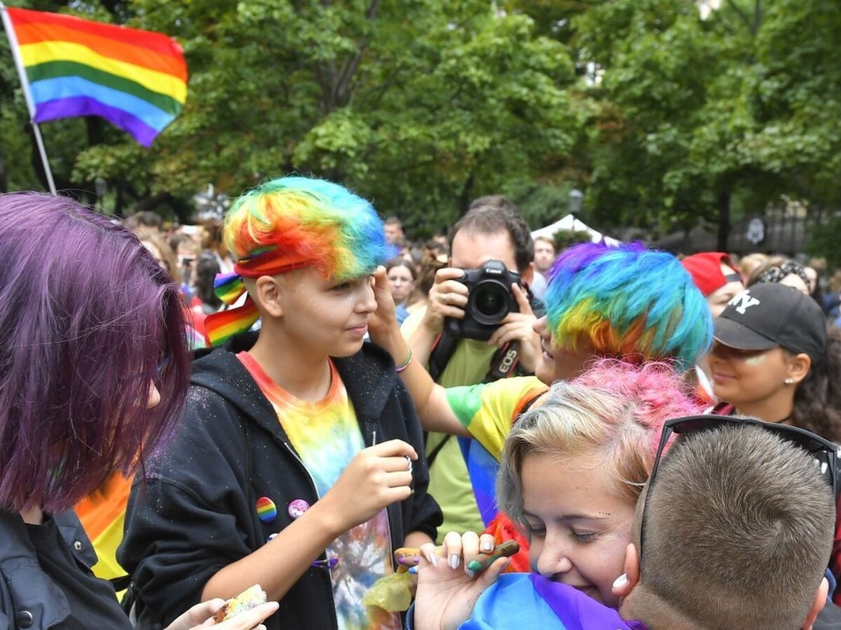Spojte sa do jedného prúdu, vyzýva SaS gejov a ich odporcov