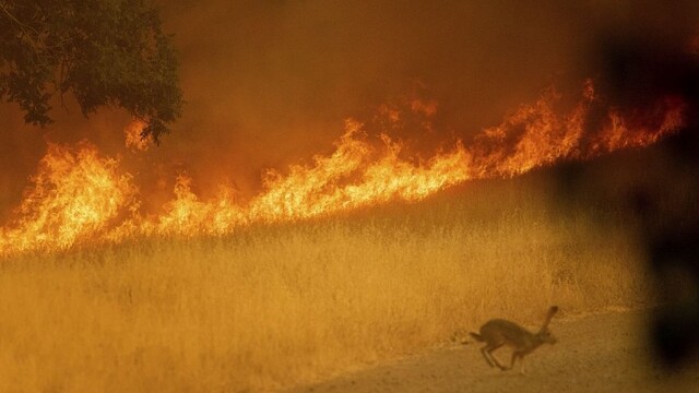 california-wildfires-37281-95c68efa37b9458ab8abb66f8458705d_7f000001-1ab2-2e09.jpg