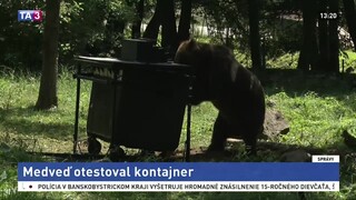 Medveď zo slovenskej ZOO otestoval špeciálny kontajner