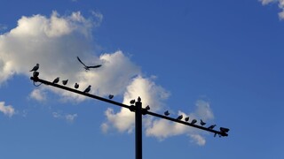 Musíme reagovať na štyri výzvy, ktoré Slovensku poslal Brusel