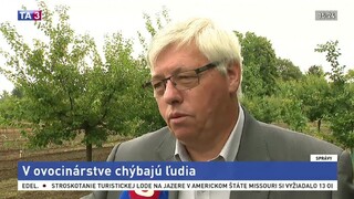 M. Varga o nedostatočnej pracovnej sile v ovocinárstve