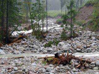 Lesníci hodnotili situáciu po povodniach, škody sú obrovské