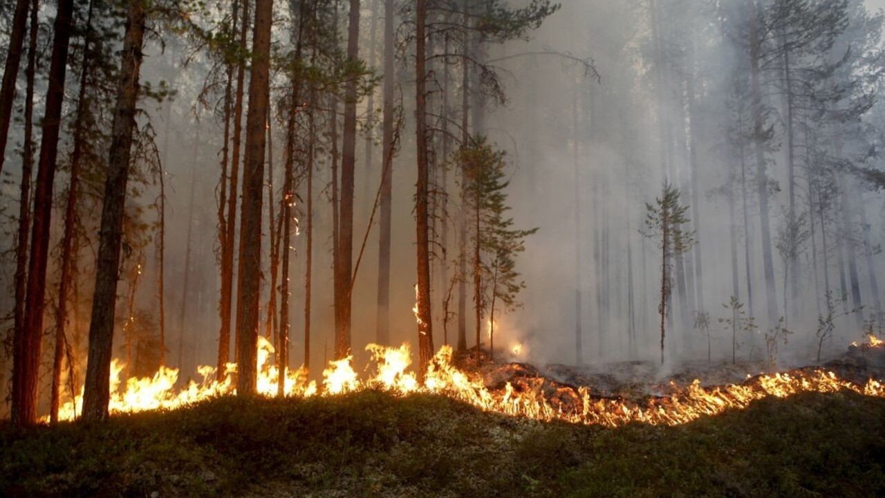 Diaľnice v Brandenbursku uzavreli, les zachvátil mohutný požiar