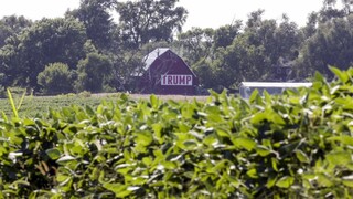 Nemecko víta rozhodnutie o sóji, vraj pomôže farmárom