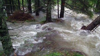 Podľa lesníkov sú Tatry príliš chránené, strácajú schopnosť zadržať vodu