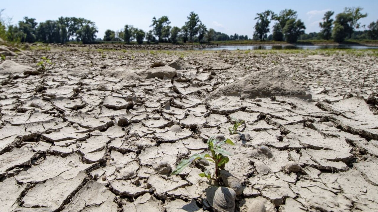sucho teplo sušina pôda vysychanie 1140 px (SITA/AP)