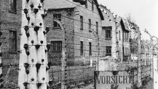 Historička o rómskom holokauste: Rómovia boli pre Nemecko hrozbou